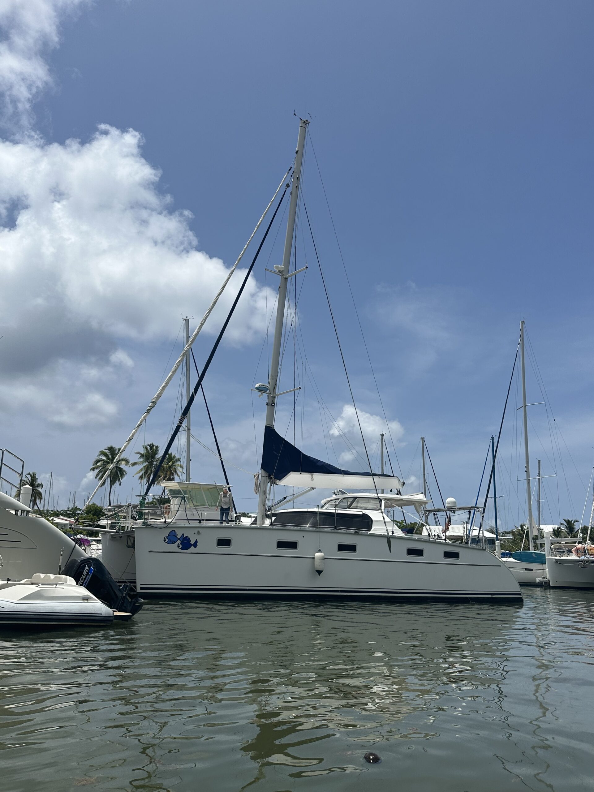 What Have We Gotten Ourselves Into?!?!